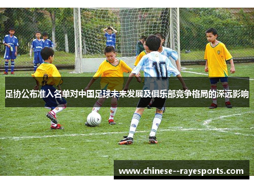 足协公布准入名单对中国足球未来发展及俱乐部竞争格局的深远影响