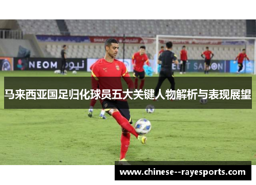 马来西亚国足归化球员五大关键人物解析与表现展望