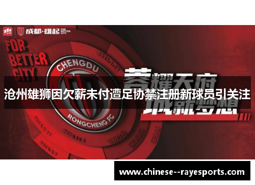 沧州雄狮因欠薪未付遭足协禁注册新球员引关注